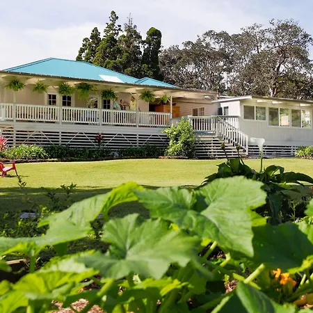 Aloha Junction Bed And Breakfast -Minutes Away From Hawaii Volcanoes National Park